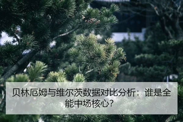 bei-lin-e-mu-yu-wei-er-ci-shu-ju-dui-bi-fen-xi-shui-shi-quan-neng-zhong-chang-he-xin-2-714.jpg